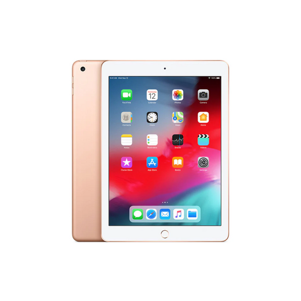 【100%】 iPad mini 第5世代　Wi-Fi + Cellular Frame124_2_7e672f8a-ee4d-4423-
