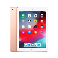 iPad 5th Gen (2017) Wi-Fi + Cellular