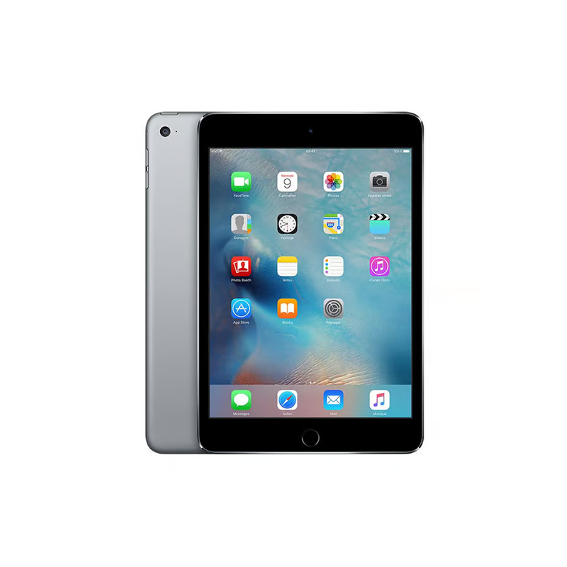 iPad mini 4th Gen (2015) Wi-Fi + Cellular